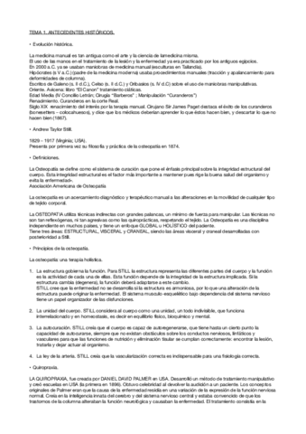 TEMARIO-MANIPULATIVAS.pdf