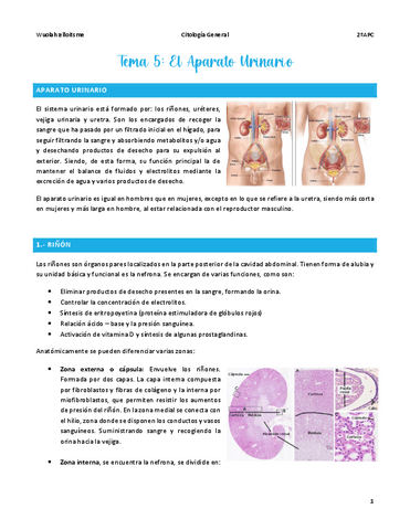 T5-GENERAL.pdf