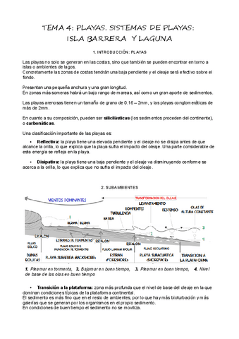 T4-Playas-y-sistemas-de-playas.pdf