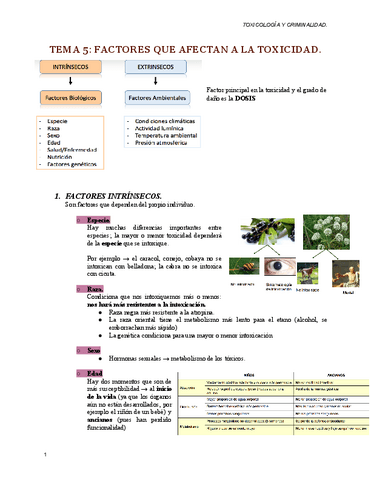 TEMA-5-toxicologia.pdf