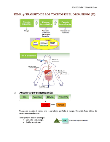 TEMA-4-toxicologia.pdf