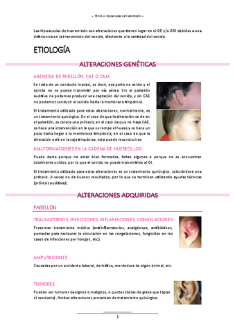 T.4 - ALT. AUDICION.pdf