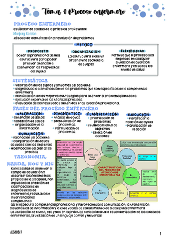 tema-1-Proceso-de-enfermeria.pdf