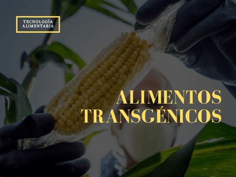 ALIMENTOS-TRANSGENICOS.pdf