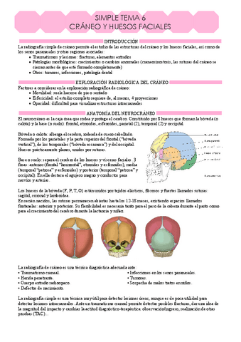 R. Simple tema 6.pdf