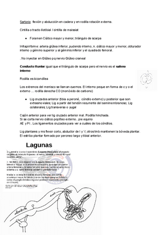 Documento-sin-titulo-3.pdf