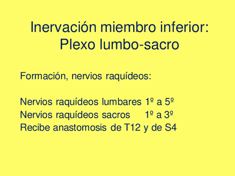 Inervacion-miembro-inferior.pdf