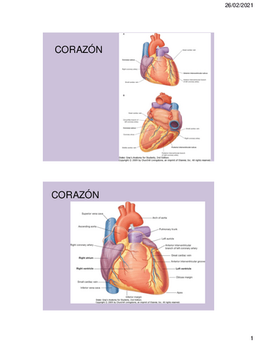 CORAZON-2.pdf
