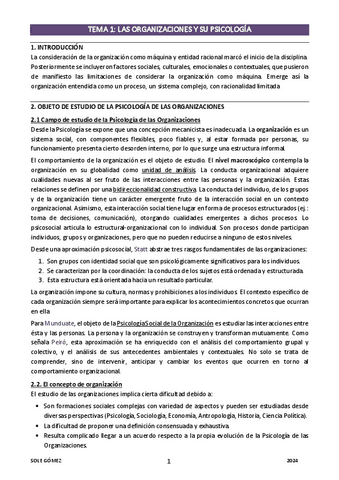 Resumen-Tema-1-Organizaciones-2024.pdf