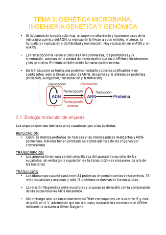 Tema3-genetica-microbiana-ingenieria-genetica-y-genomica.pdf