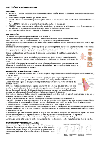 TEMA-7-CITO-GINE.pdf