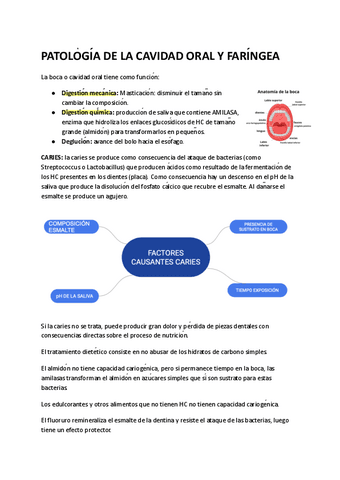 PATOLOGIA-DE-LA-CAVIDAD-ORAL-Y-FARINGEA.pdf-BIEN-1.pdf
