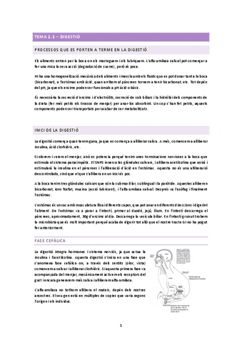 TEMA-2.1.docx.pdf