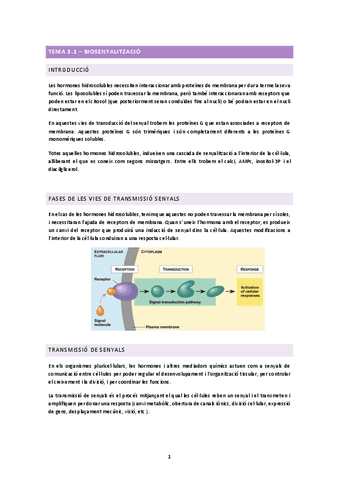 TEMA-3.1.docx.pdf