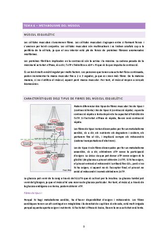 TEMA-6.docx.pdf
