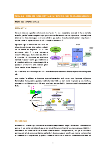 TEMA-1.4.docx.pdf