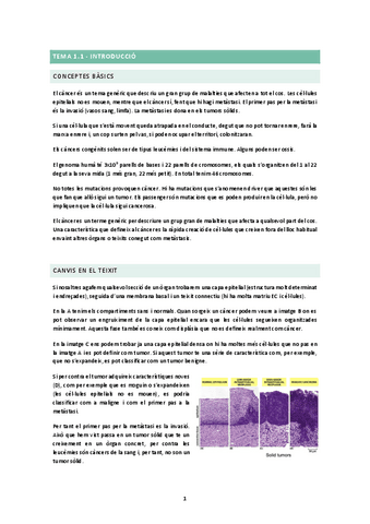 TEMA-1.1.docx.pdf