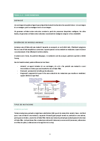 TEMA-1.2.docx.pdf