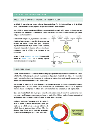 TEMA-1.4.docx.pdf