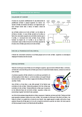 TEMA-2.1.docx.pdf