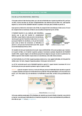 TEMA-2.3.docx.pdf