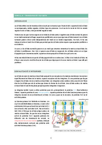 TEMA-2.4.docx.pdf