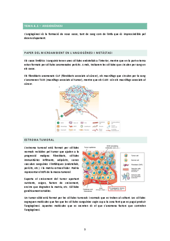 TEMA-4.1.docx.pdf
