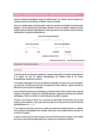 TEMA-10.docx.pdf