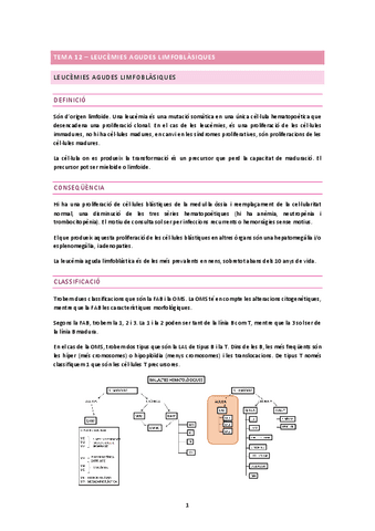 TEMA-12.docx.pdf