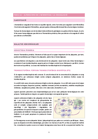 TEMA-14.docx.pdf