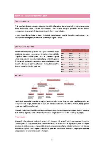 TEMA-15.docx.pdf