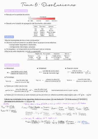 Tm-6-Disoluciones.pdf