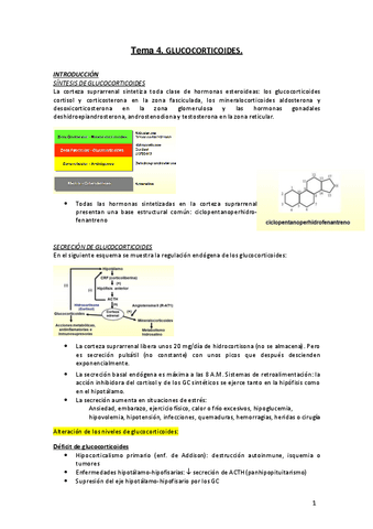 Tema-4.-Glucocorticoides-IMPRIMIR.pdf