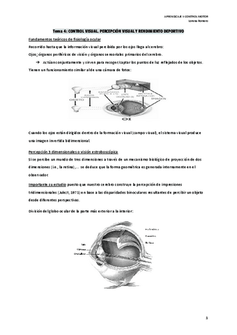 Tema-4.-Control-visual.pdf