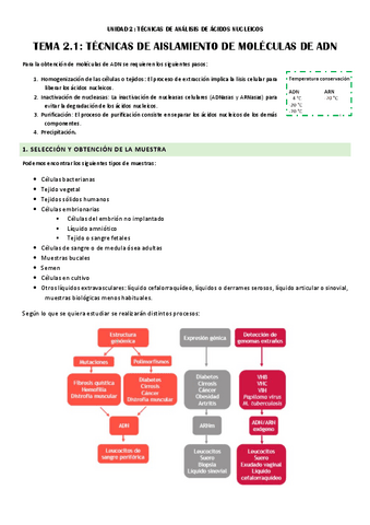 TEMA-2.-Ingenieria-genetica.pdf