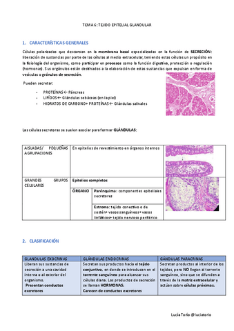 EyF-I-6.-Tejido-epitelial-glandular.pdf