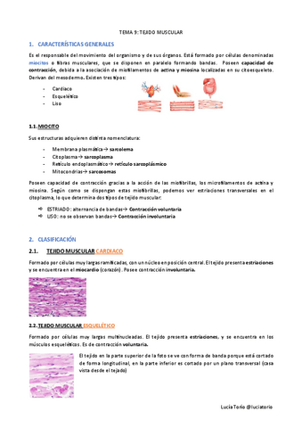 EyF-I-9.-Tejido-muscular.pdf