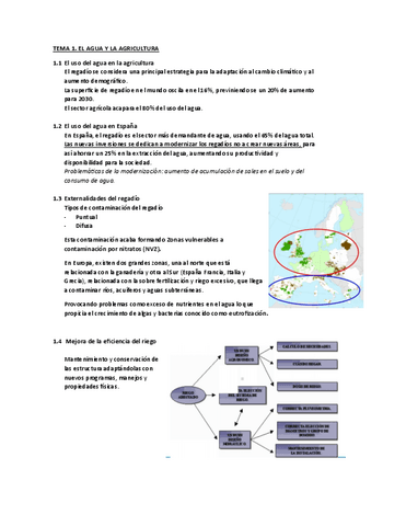 Tema-1-y-2.pdf