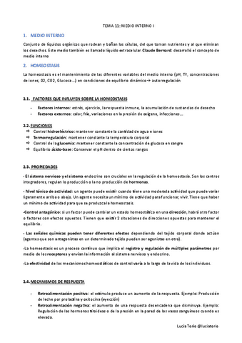 EyF-I-11.-Medio-interno-I.pdf