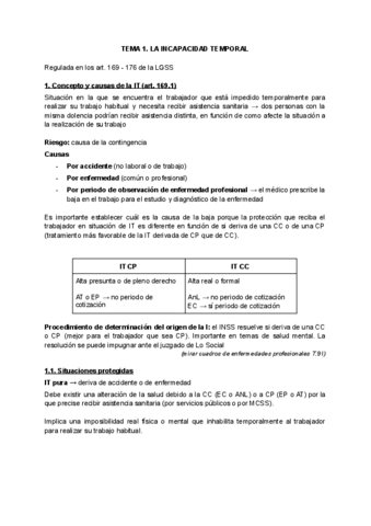 DRET-DE-LA-SEGURETAT-SOCIAL-II.pdf