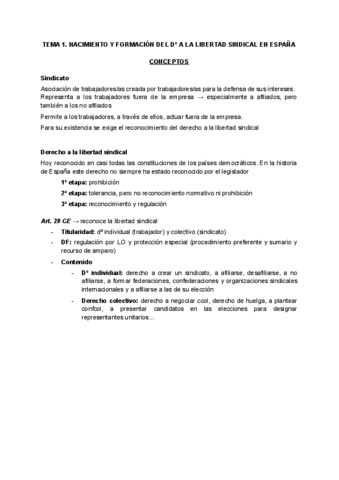 DERECHO-SINDICAL-I.pdf