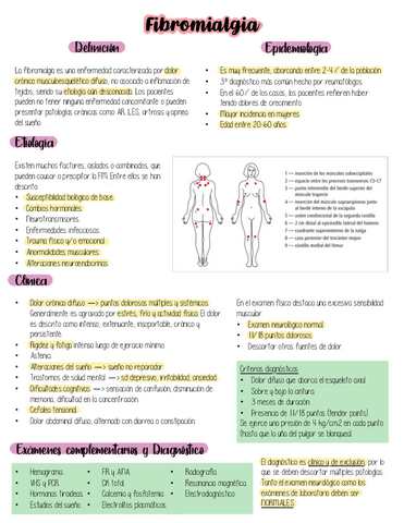 Fibromialgia.pdf
