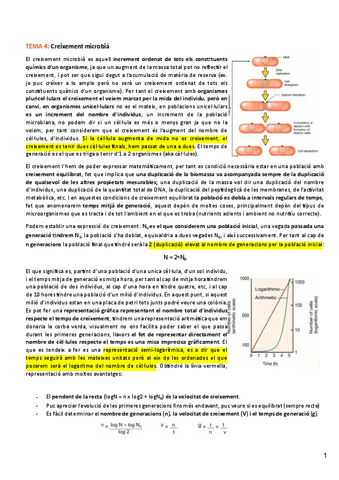 Tema-4-Microbiologia.pdf