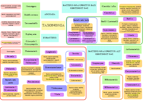Esquema-taxonomia-tema-5.pdf