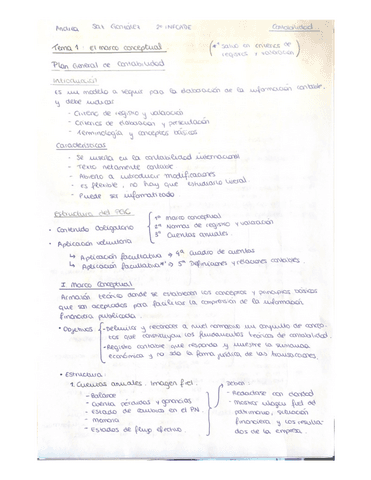 Tema-1-Contabilidad-Financiera-Superior-I.pdf