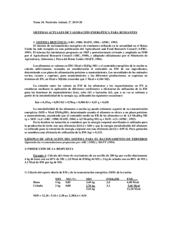 Tema-10-Val-Ener-Rum-text.pdf