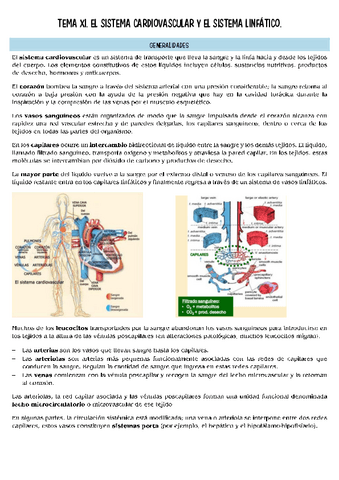 histopatologia-T11.pdf