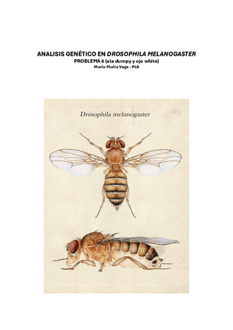 Problema-6-Drosophilas.pdf