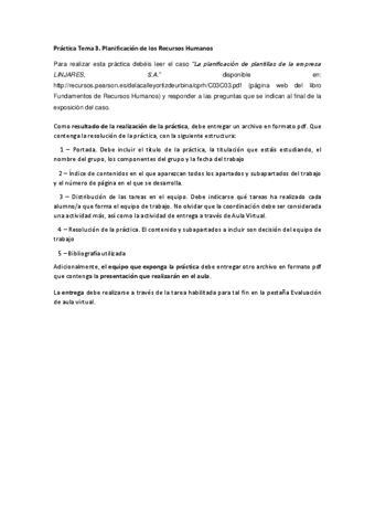 Practica-3-Planificacion-de-los-Recursos-Humanos.pdf