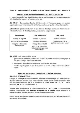 APUNTS-INTERVENCIO-ADMINISTRATIVA-EN-LES-RRLL.pdf